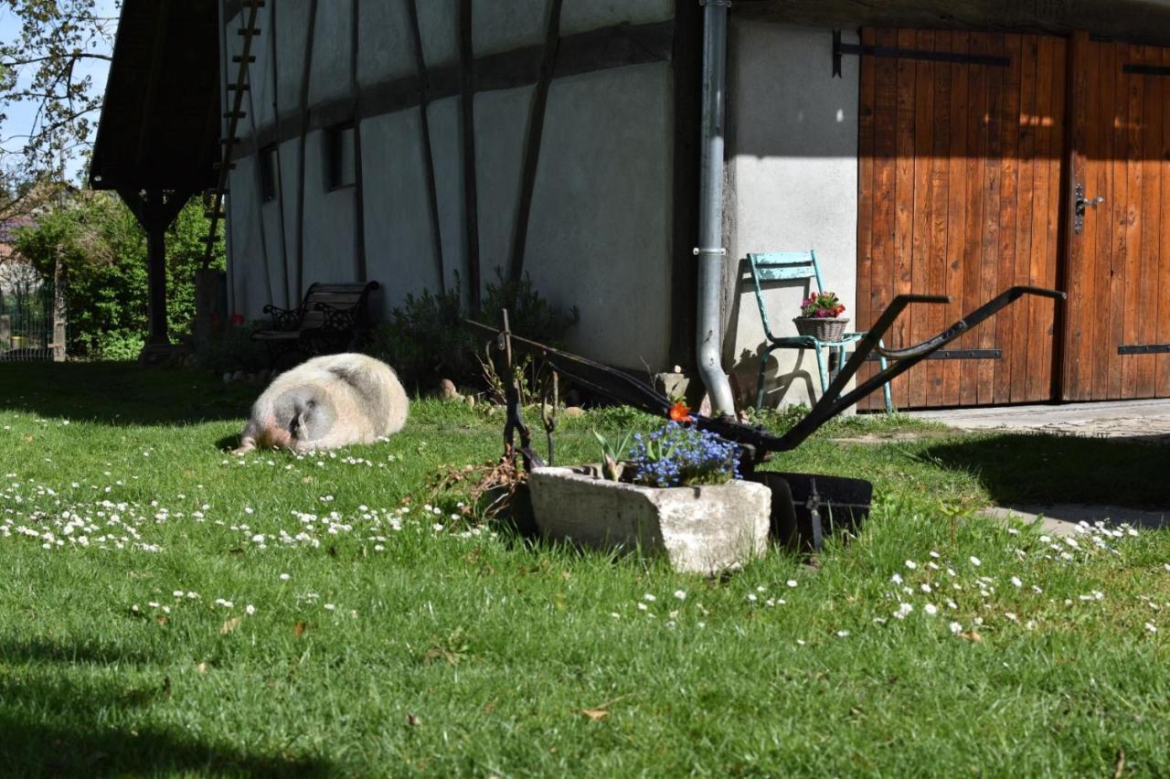 Gite De Peupliers Valdieu Exterior foto